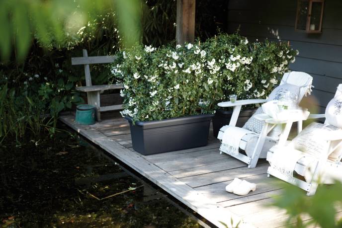 green basics garden xxl 80cm living black